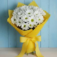 Букет цветов из:  Хризантемы в Рудногорске