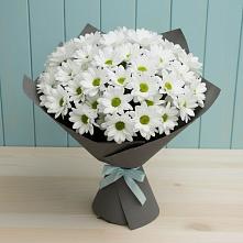 Букет цветов из:  Хризантемы #REPLACE_PRED# Рудногорске