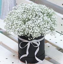 Цветочная композиция из Гипсофила в шляпной коробке #REPLACE_PRED# Рудногорске