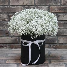 Цветочная композиция из Гипсофила в шляпной коробке в Рудногорске