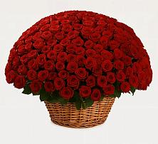 Премиум букет из: Розы в Рудногорске