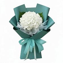 Букет цветов из:  Гортензия в Рудногорске
